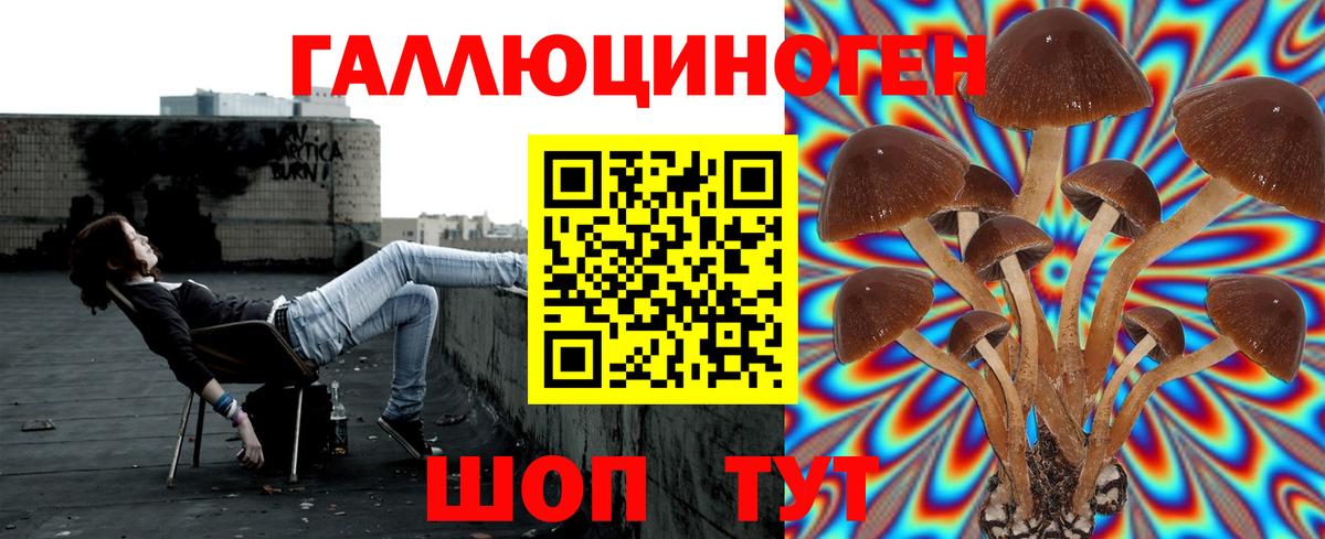 Петропавловск-Камчатский  Галлюциногенные грибы мухоморы  Вход с VPN  Галлюциногенные грибы прущие грибы 